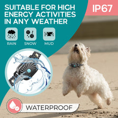 TrainTail bark collar rechargeable battery: long-lasting power for days of use between charges.