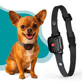 TrainTail bark collar small dog fit: adjustable strap for a comfortable, secure training experience.