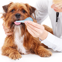 Treela 60ml syringes supporting larger portions and longer feeding sessions