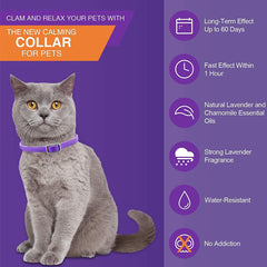 Trendy Hub adjustable soft collar fits all cats for easy comfort