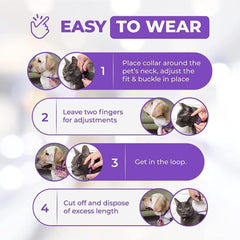 Trendy Hub calm collar on cat demonstrates wearable stress relief