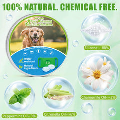 Trihood dog tag waterproof close-up, showing durable all-weather protection for active dogs.