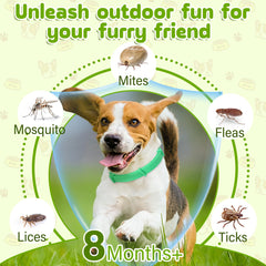 Trihood adjustable close-up of collar buckle and material for durability.