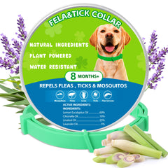 Trihood natural flea tick collar pack front view shows two adjustable collars for outdoor protection.