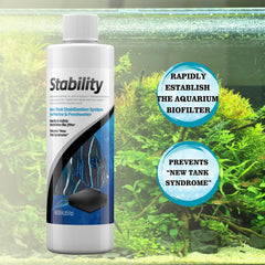 Trinity Treats PRlME and STABlLlTY in a pristine freshwater tank