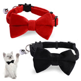 Trinkrittey velvet cat collar with black bow-tie for stylish daily wear.