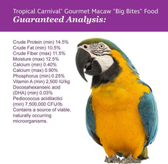 Tropical Carnival immune-support-farm-veggies-visual emphasizes antioxidants from veggies