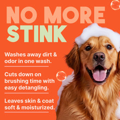 TropiClean 2-in-1 dog shampoo foam-lather demonstrates its cleaning power.