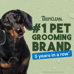 TropiClean dog perfume on coat delivers silky, smooth finish.