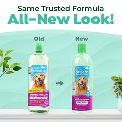 TropiClean Fresh Breath Water Additive dog bowl mixes with water for ongoing mouth care.