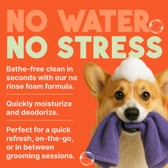 TropiClean No-Rinse bottle highlights moisture for dry skin in pets.