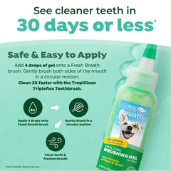 TropiClean brushing gel used with a cat for dental care.