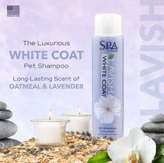 TropiClean SPA Lavish shampoo on white coat helps prevent fading and brightens color.