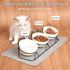 Trosetry 15-degree tilted design supports natural eating posture for cats.