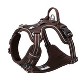 TRUE LOVE dog harness back-attachment point for safer, controlled walks