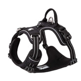 TRUE LOVE dog harness no-pull back strap for easy on-and-off and gentle control.