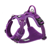 TRUE LOVE dog harness back strap for easy no-head-on wearing and secure fit.