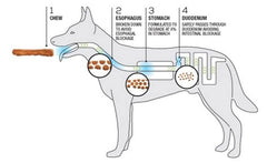 TRURANCH 10-pack packaging image highlights all-natural treats for easy portioning.