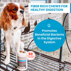 Trustwell PawMedica pumpkin-infused chews close-up highlighting natural ingredients and texture.