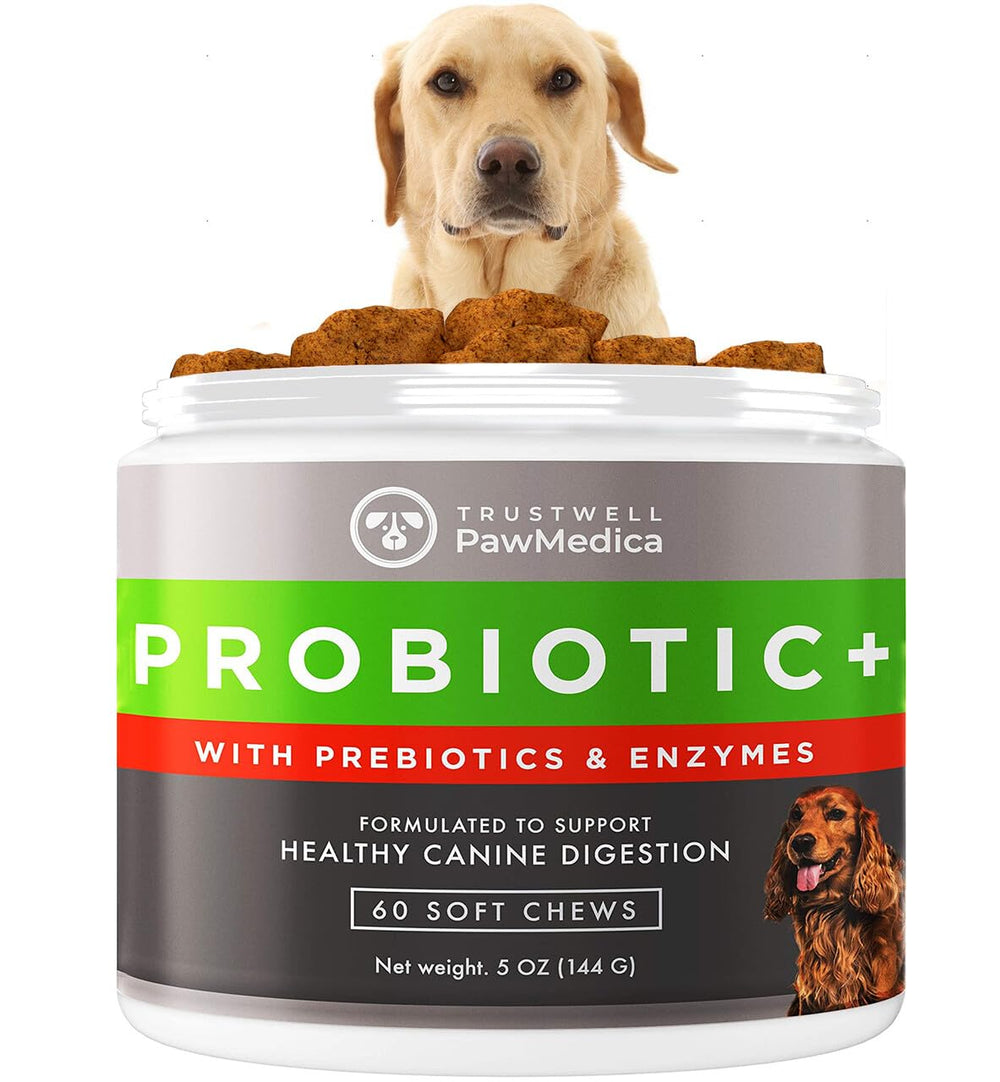 Trustwell PawMedica probiotic chews bottle supports daily digestive balance for dogs