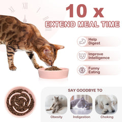 TRUVIC ceramic slow-feeder cat bowl with rose-petal maze promotes mindful eating
