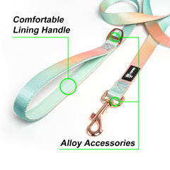 Tspro gradient color leash highlights padded handle for comfortable walking.