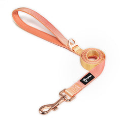 Tspro lightweight dog leash with orange-yellow gradient for daily visibility.