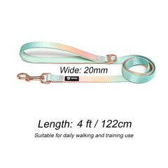 Tspro leash sized for small to medium dogs for controlled, confident walks.
