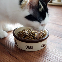 TTcat ceramic cat bowl side profile showing a stable heavy base.