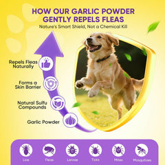 TTLXBL dog chewable chicken-flavor closeup emphasizes appealing taste for easy dosing.