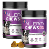 TTLXRI Dog Allergy Chews packaging for easy allergy support on the go.