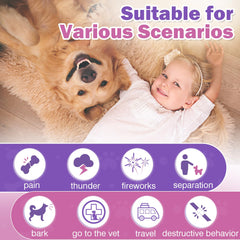 TTLXRL ingredients close-up shows chamomile, valerian, and B vitamins for calmness.