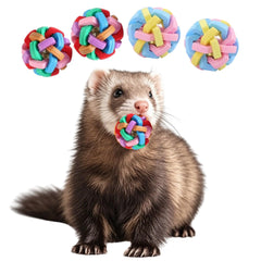 TTMIMIK ferret toy balls 4-pack for engaging play and exercise.
