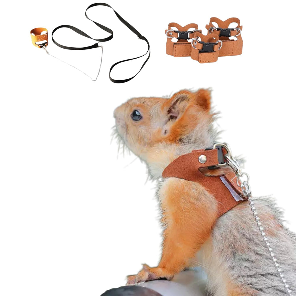 TTMIMIK squirrel harness and leash set full 3-pack view with adjustable straps for small-pet use.