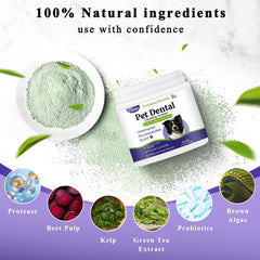 TTsiya closeup of dog teeth cleaning powder highlights tartar reduction potential