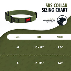 Tuff Pupper aluminum buckle collar detail for secure quick-release during active dogs