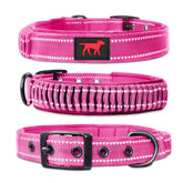Tuff Pupper heavy-duty collar buckle close-up showing secure metal hardware for daily walks.