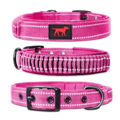 Tuff Pupper heavy-duty collar buckle close-up showing secure metal hardware for daily walks.