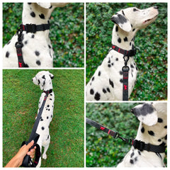 Tuff Pupper heavy-duty D-ring leash attachment emphasizes secure, durable connections