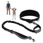 Tuff Pupper heavy-duty leash setup demonstrates hands-free walking with a large dog.
