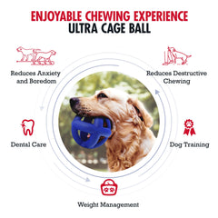Tuff Pupper Juego de buscar con Pelota-jaula para morder sin dañar el mobiliario.