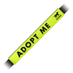 Tuff Pupper leash sleeve on Adopt Me label highly visible during walks