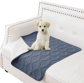 Tuffeel TPU-lined dog blanket folded with blue and cream sides guard furniture from spills.