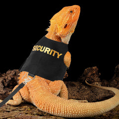 TUKOAW Bearded Dragon Harness with leash during outdoor walk promotes safe exploration