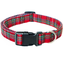 Tunkoo Christmas plaid collar on a dog, ideal festive holiday style.