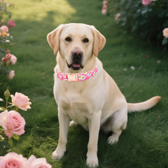 Tunkoo pink daisy collar fabric detail shows breathable cotton and durable inner layer.