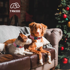 Tunkoo puppy collar adjustable-length for small to large dogs, comfortable daily wear.