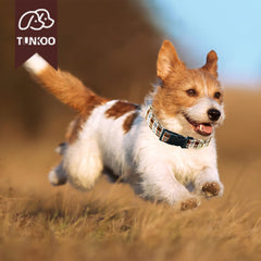 Tunkoo soft outer fabric and durable inner webbing for comfort.