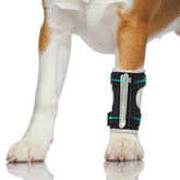 Turfson dog front leg brace adjustable splint provides customizable support for active dogs