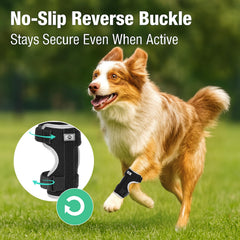 Turfson dog front leg brace reflective edge aids safety during evening walks